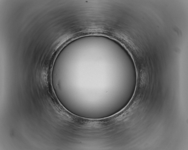 X0000111371162200907101205