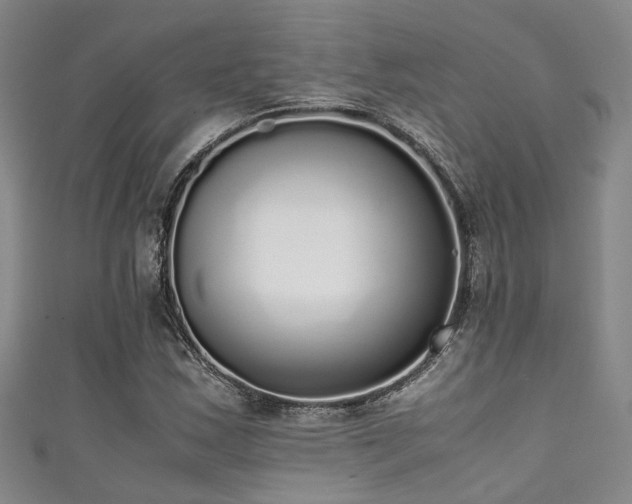 X0000111371163200907101205