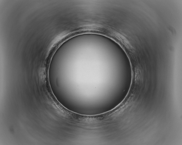X0000111371164200907101205