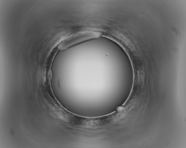 X0000111371165200907101205