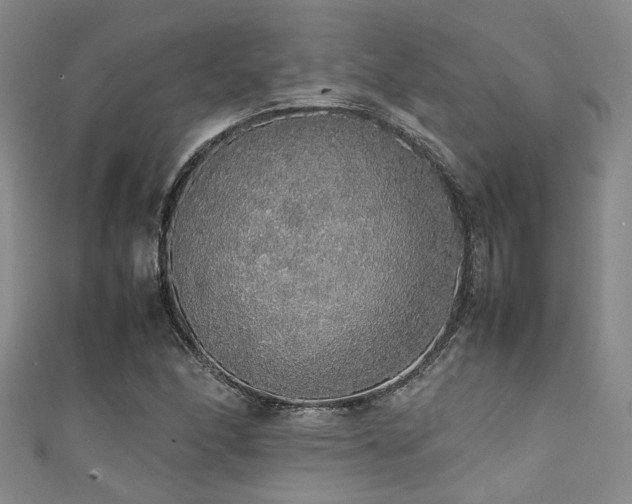 X0000111371166200907101205