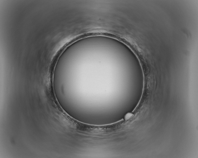 X0000111371167200907101205