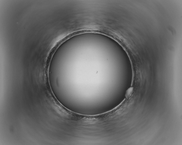 X0000111371168200907101205