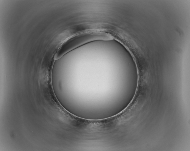 X0000111371169200907101205