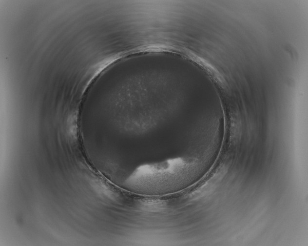 X0000111371170200907101205