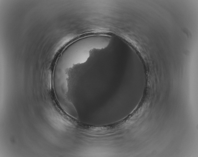 X0000111371171200907101205
