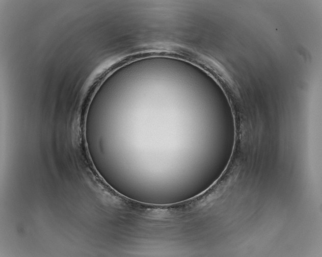 X0000111371172200907101205
