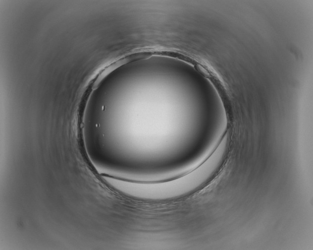 X0000111371173200907101205