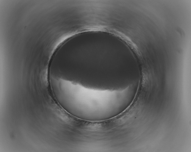 X0000111371174200907101205