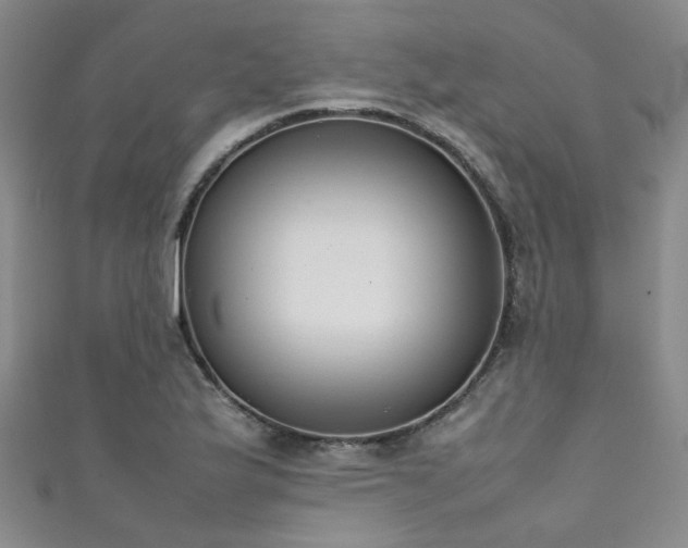 X0000111371175200907101205