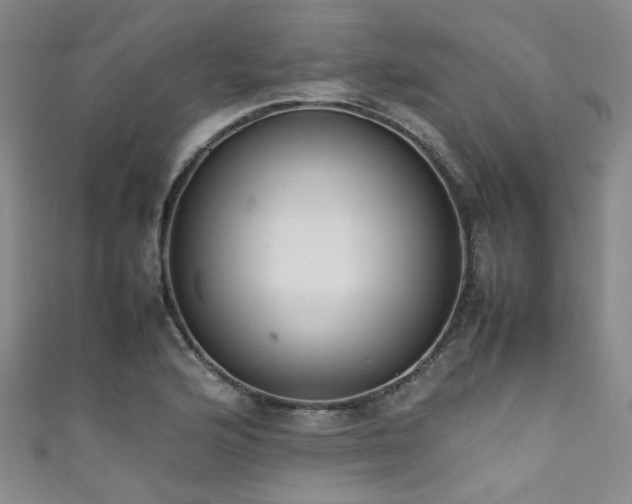X0000111371176200907101205