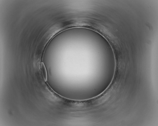 X0000111371177200907101205