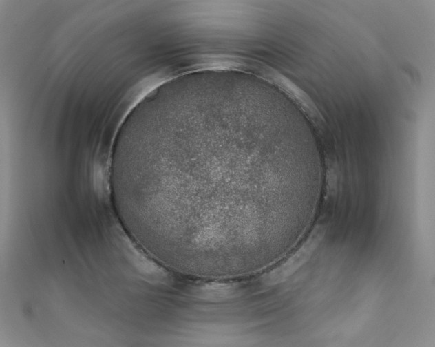 X0000111371178200907101205