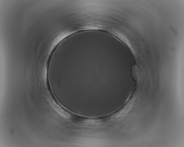 X0000111371179200907101205
