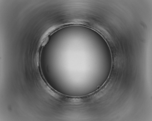 X0000111371180200907101205