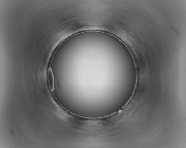 X0000111371181200907101205