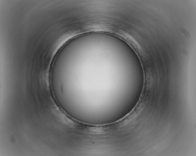 X0000111371182200907101205