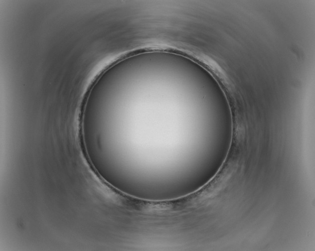 X0000111371183200907101205