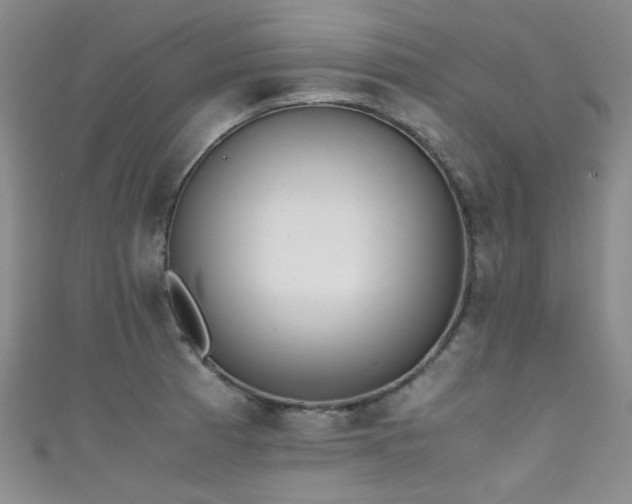 X0000111371185200907101205
