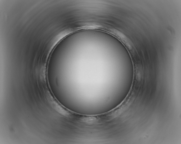X0000111371186200907101205