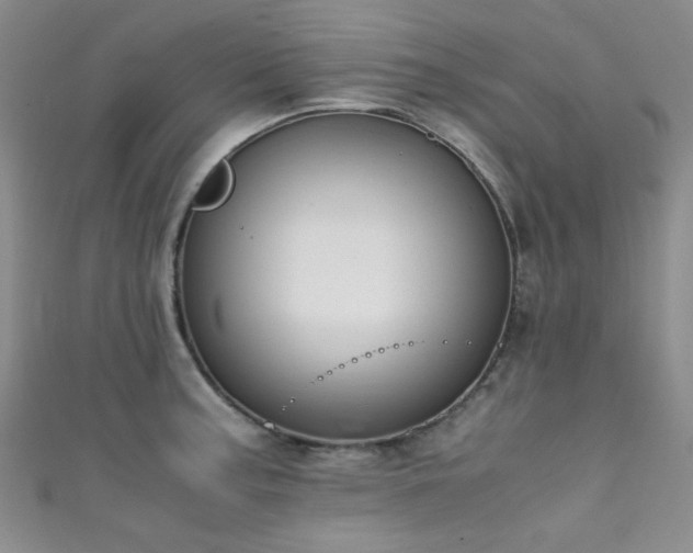 X0000111371187200907101205