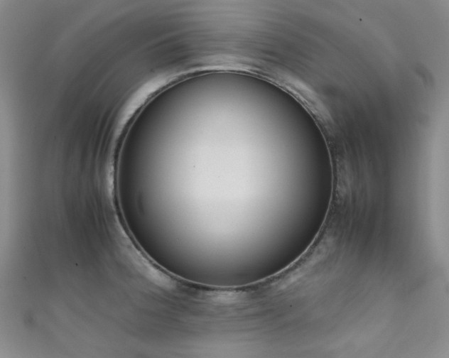 X0000111371188200907101205