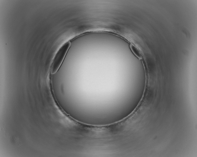 X0000111371189200907101205