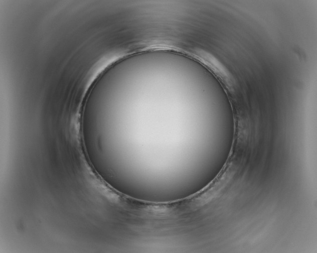 X0000111371190200907101205