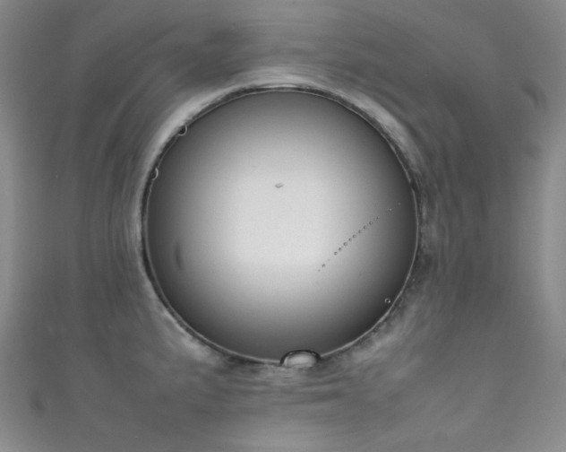 X0000111371191200907101204