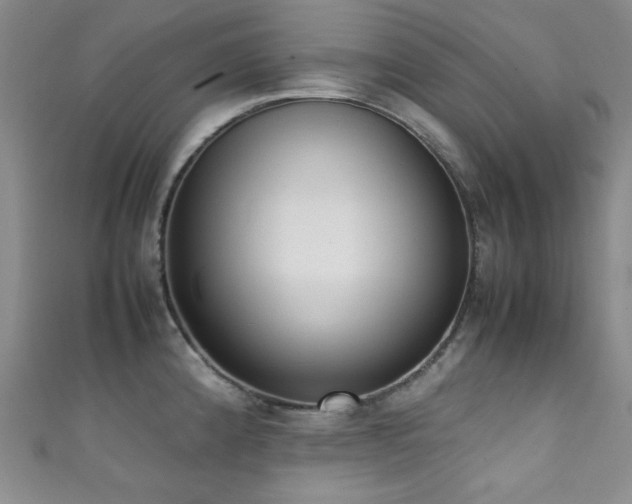 X0000111371192200907101204