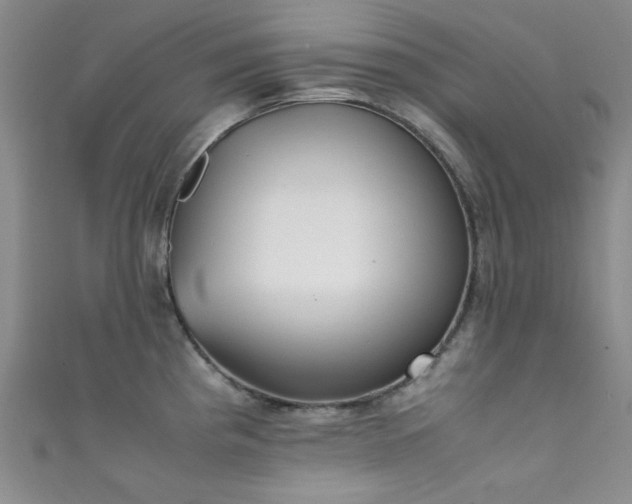 X0000111371193200907101204
