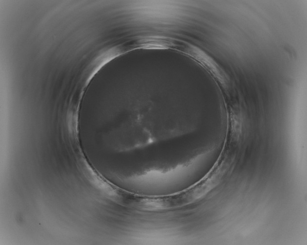 X0000111371194200907101204