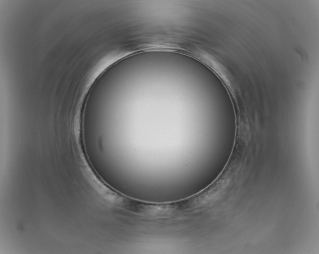 X0000111371195200907101204