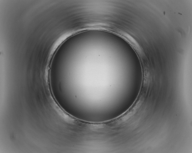 X0000111371196200907101204