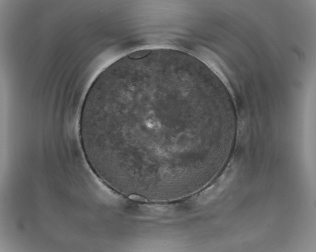 X0000111371197200907101204