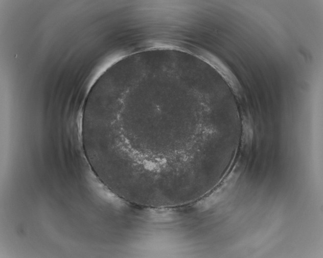 X0000111371198200907101204