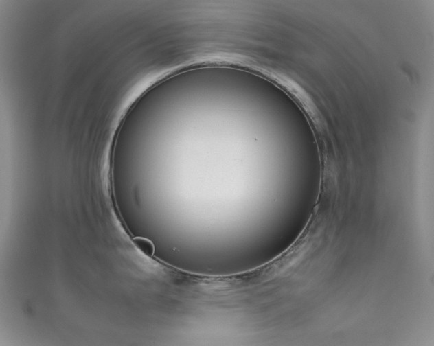 X0000111371199200907101204