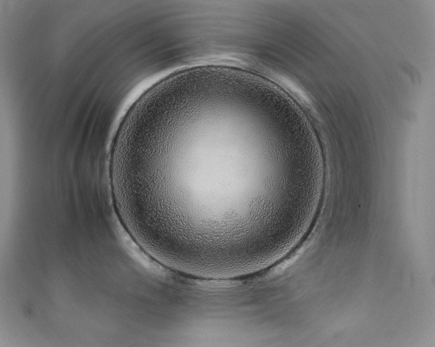X0000111371200200907101204