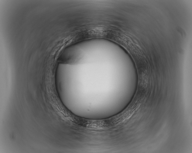 X0000111371201200907101204