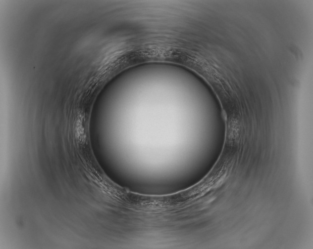 X0000111371202200907101204