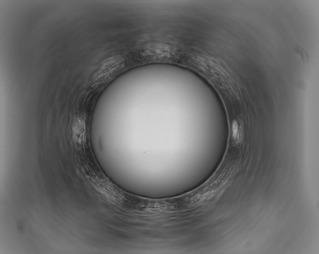X0000111371203200907101204