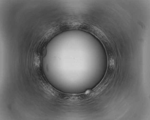 X0000111371204200907101204