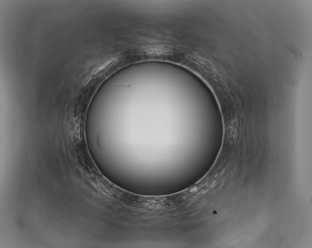 X0000111371205200907101204