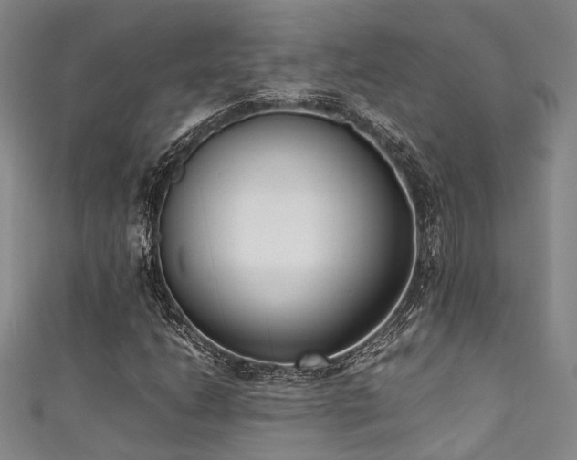 X0000111371206200907101204