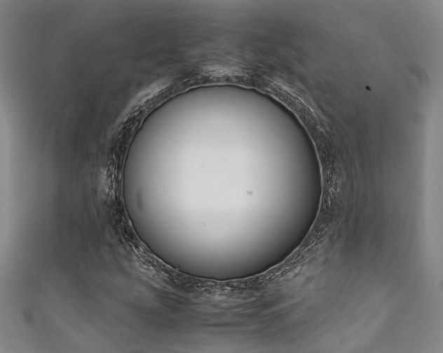 X0000111371207200907101204
