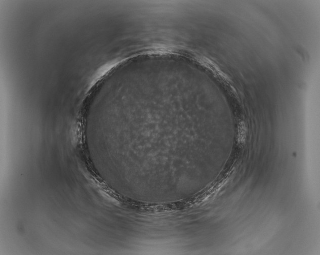 X0000111371208200907101204