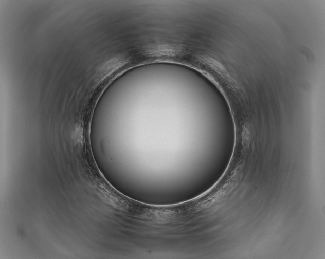 X0000111371209200907101204