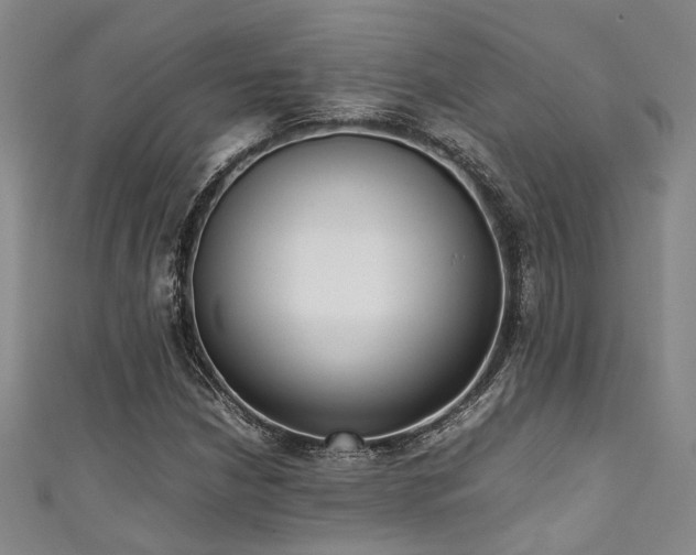 X0000111371210200907101204