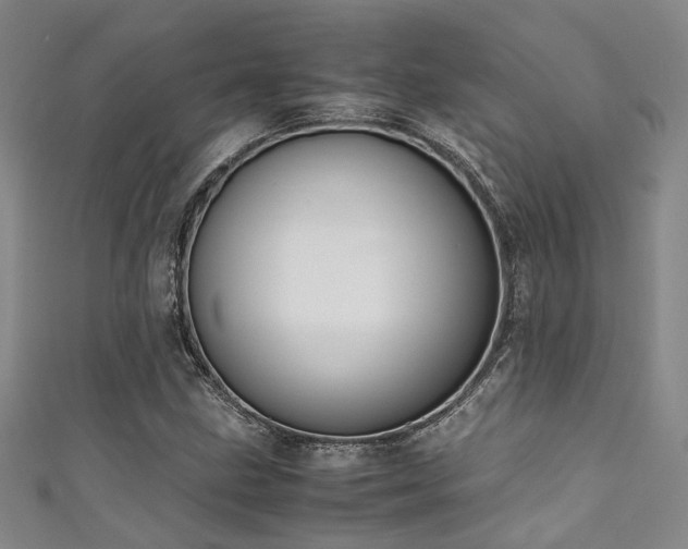 X0000111371211200907101204