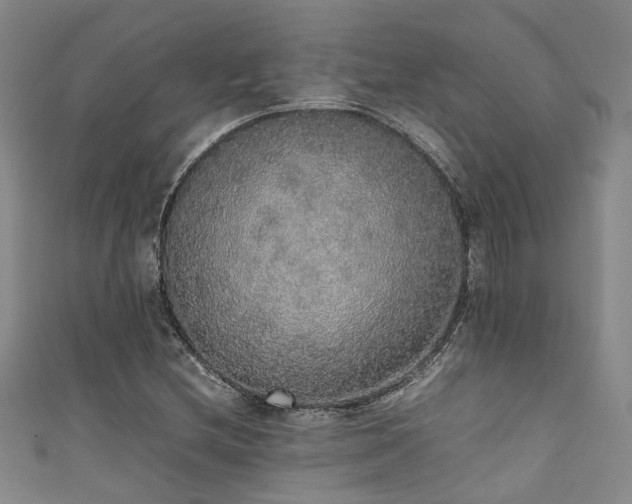 X0000111371212200907101204